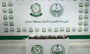 دوريات الأفواج الأمنية بمنطقة جازان تُحبط تهريب ( 65) كيلو جرامًا من نبات القات المخدر