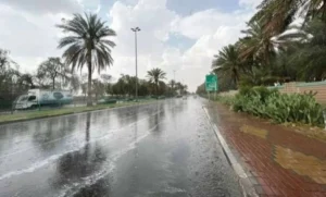«الأرصاد»: نترقب وصول «الزائر الأبيض».. و11 إنذاراً للأمطار على 11 منطقة