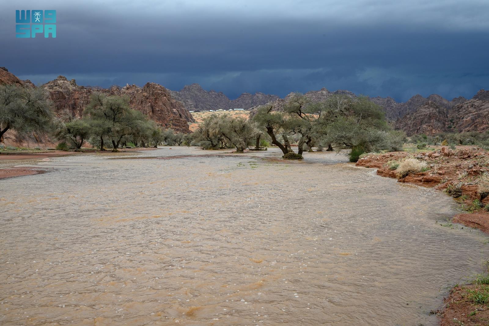 Read more about the article أمطار غزيرة مصحوبة بالبرد تواصل هطولها على حائل